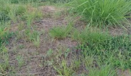 Terreno à venda, 314 m² por R$ 400.000,00 - Condomínio Jardim Siena - Indaiatuba/SP