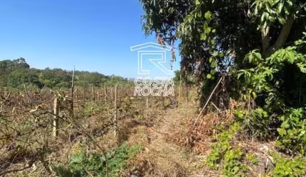 Área à venda, 13701 m² por R$ 2.000.000,00 - Olaria - Salto/SP