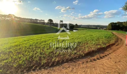 Terreno à venda na Rua Júlio César Setenareski, 100, Colônia Mergulhão, São José dos Pinhais por R$ 4.800.000