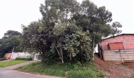 Terreno à venda na Avenida Alzira Berton Pauletto, Del Rey, São José dos Pinhais por R$ 200.000