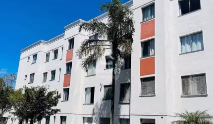 Apartamento com 2 quartos para alugar na Rua Adir Pedroso, 570, Iná, São José dos Pinhais por R$ 1.500