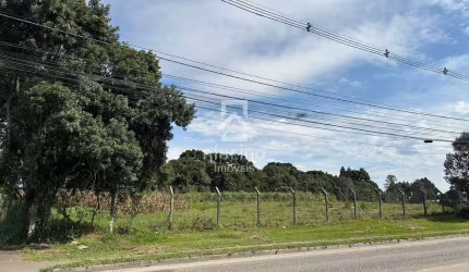 Terreno comercial para alugar na Alameda Bom Pastor, Costeira, São José dos Pinhais por R$ 40.000