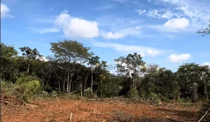 Terreno à venda, 450 m² por R$ 229.500,00 - Panorama - Lagoa Santa/MG