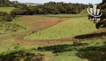 Sítio à venda, 131188 m² por R$ 2.200.000,00 - Chácara Brumado - Amparo/SP