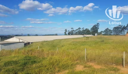 Sítio à venda, 60000 m² - Bairro dos Rosas - Amparo/SP