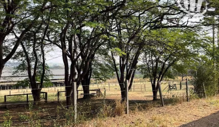 Venda de Haras em Jaguariúna - Oportunidade Única!