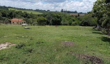 Sítio com 5 dormitórios à venda, 20000 m² por R$ 1.300.000,00 - Borda Mata - Jaguariúna/SP