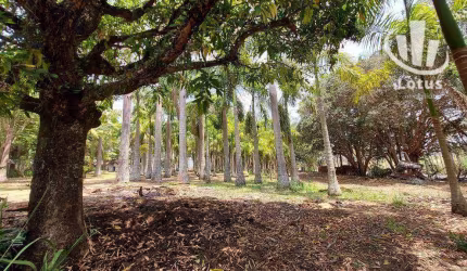 Sítio à venda, 24200 m² - Rural - Santo Antônio de Posse/SP