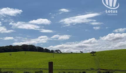 Fazenda à venda, 6580000 m² Centro - Pouso Alegre/MG