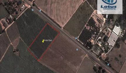 Área à venda, 26000 m² por R$ 2.600.000,00 - Bairrinho - Artur Nogueira/SP