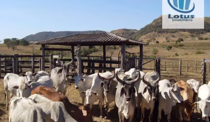 Fazenda à venda, em Cajuru a 70 KM de Ribeirão Preto, 120 Alqueires Paulista.