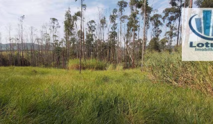 Sítio à venda, 32600 m² por R$ 1.000.000,00 - Centro (Três Pontes) - Amparo/SP