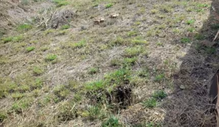 Terreno à venda na Vila Togni, Poços de Caldas  por R$ 350.000