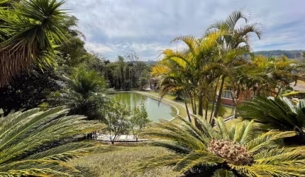 Chácara / sítio com 3 quartos à venda no Centro, Divinolândia , 193000 m2 por R$ 3.100.000