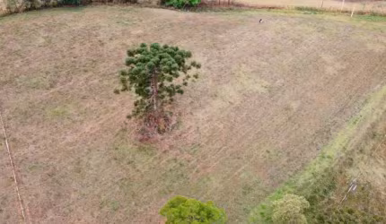Chácara / sítio à venda no Campestrinho, Divinolândia  por R$ 580.000