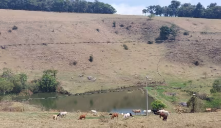 Chácara / sítio à venda no Centro, Divinolândia , 30000 m2 por R$ 1.150.000