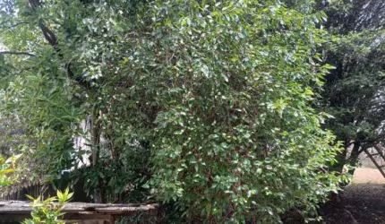 Terreno à venda na Vila Togni, Poços de Caldas  por R$ 450.000