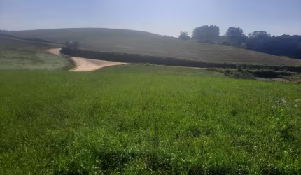 Excelente área de 78.727,62m² (3,26 alqueires ou 7.88 hectares) em Excelente localização a exatos 10 km do Centro de Araucária, a apenas 800m do asfalto - APENAS R$ 1.499.000,00