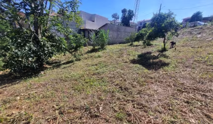 ÓTIMO TERRENO MEDINDO 852,00M² NO CENTRO DE ARAUCÁRIA IDEAL PARA CONSTRUÇÃO DE APARTAMENTOS, PRÓXIMO A HAVAN, APENAS R$ 790.000,00