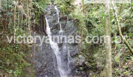 Terrenos para venda em Piracaia no bairro Carás