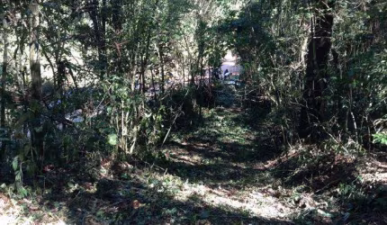 Terrenos para venda em Piracaia no bairro Não Especificado