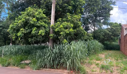 Investimento Exclusivo: Oportunidade Única nos Terrenos do Rita Vieira!