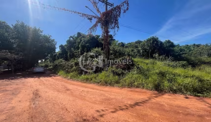 Chácara à Venda em Campo Grande-MS: 10.000 m² na Chácara dos Poderes!