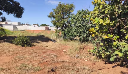 Boa localização - Jardim Mansur