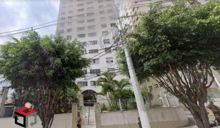 Apartamento- 115m², Cambuci- São Paulo - SP
