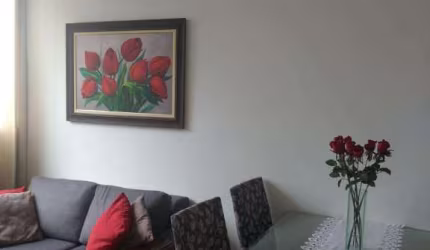 Apartamento- 50m², Vila Mascote- São Paulo- SP.