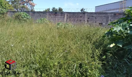 Terreno à venda Alvarenga - São Bernardo do Campo - SP