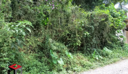Terreno de 1600m² no Riacho Grande em SBC - SP