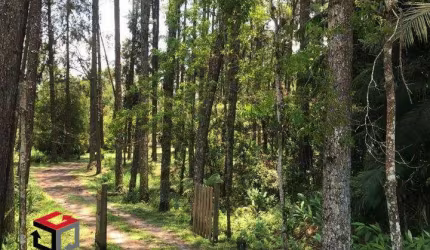 Terreno à venda Alvarenga - São Bernardo do Campo - SP