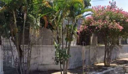 Galpão com 800m² - Barra Funda - São Paulo - SP