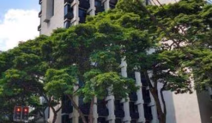 Sala Comercial com 330m² - Cidade Monções - São Paulo - SP