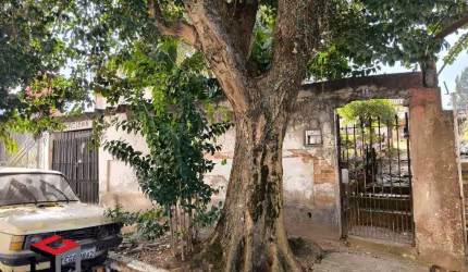 Terreno à venda Ferrazópolis - São Bernardo do Campo - SP