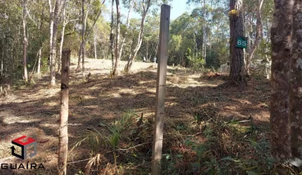 Terreno à venda Riacho Grande - São Bernardo do Campo - SP