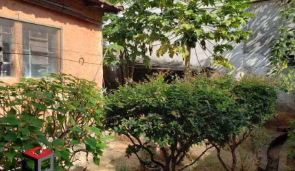 Terreno em Vila Santa Catarina com 350m²