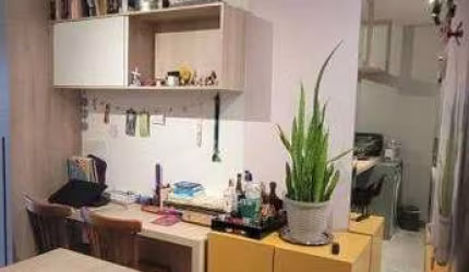 Studio mobiliado em Mirandopilis 33m2
