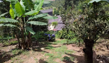 Terreno à venda 2 vagas Recreio da Borda do Campo - Santo André - SP