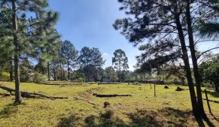 Terreno em Ipelândia Suzano