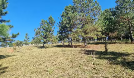 Terreno em Ipelândia Suzano