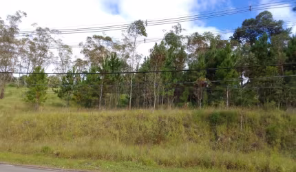 Área comercial em Suzano