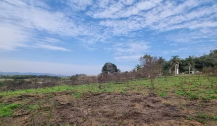 Terreno comercial na Ipelandia Suzano