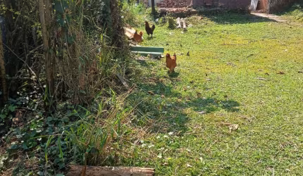 vendo terreno em Ribeirão Pires
