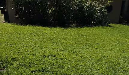 Venda de casa antiga para reforma