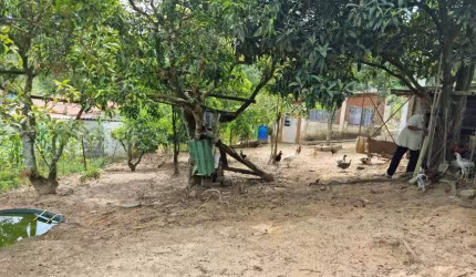 Chácara em Ipelândia