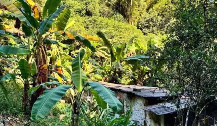 Casa para Venda em Guapimirim, Cadetes Fabres, 2 dormitórios, 1 banheiro, 3 vagas