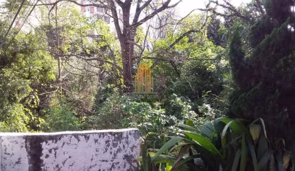 Terreno Residencial de 312m² com 6.70 de frente por 48 de fundos na Vila Sonia - São Paulo.