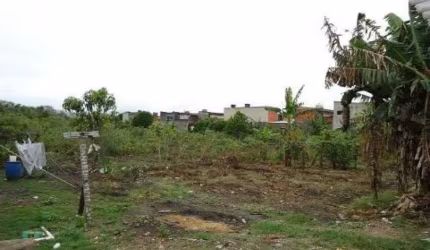 Guarulhos, Terreno Comercial/Residencial de 6000m².